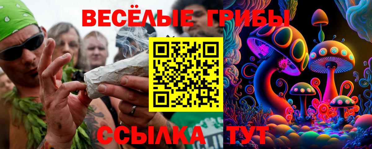 Галлюциногенные грибы ЛСД Сальск