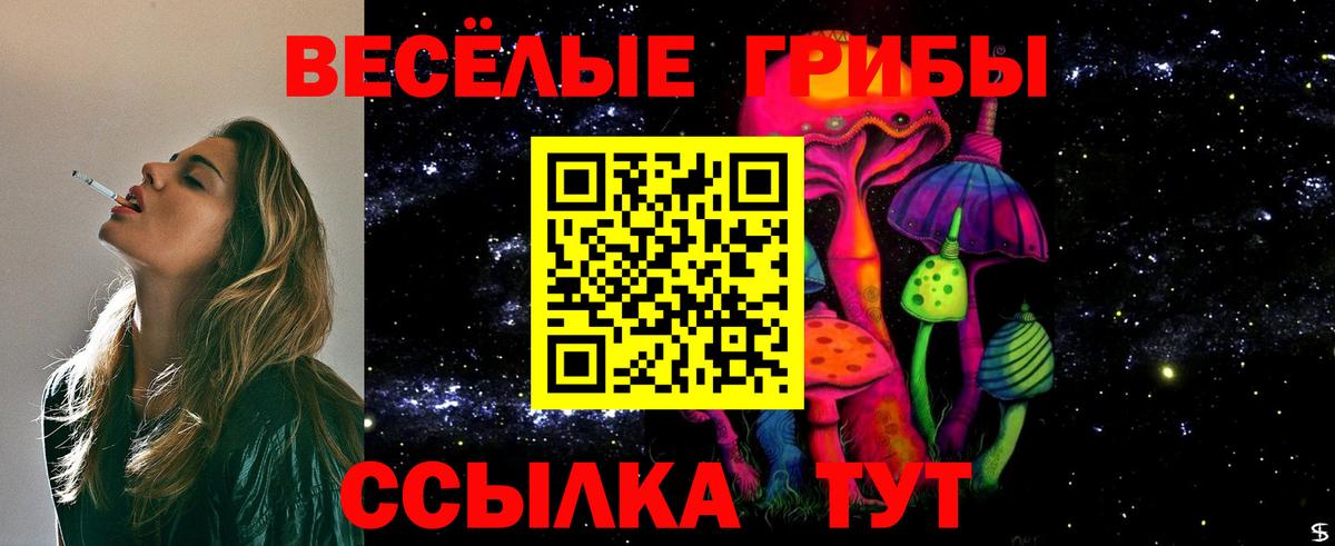 Сальск  Псилоцибиновые грибы GOLDEN TEACHER  Вход с VPN 