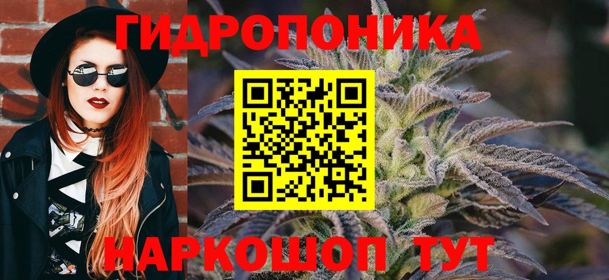 Шишки марихуана VHQ  Вход с VPN  Сальск  Шишки марихуана OG Kush  Бошки марихуана конопля 
